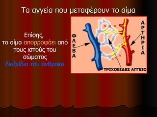 Τα αγγεία που μεταφέρουν το αίμαΤα αγγεία που μεταφέρουν το αίμα
Επίσης,
το αίμα απορροφάει από
τους ιστούς του
σώματος
διοξείδιο του άνθρακα
 