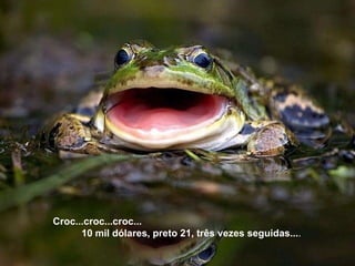 Croc...croc...croc...  10 mil dólares, preto 21, três vezes seguidas... . 