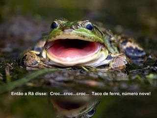 Então a Rã disse: Croc...croc...croc... Taco de ferro, número nove!
 