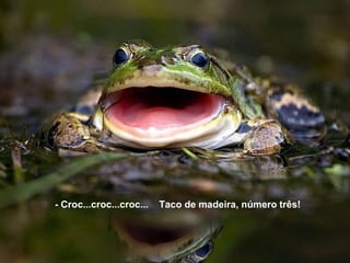 - Croc...croc...croc...   Taco de madeira, número três!
 