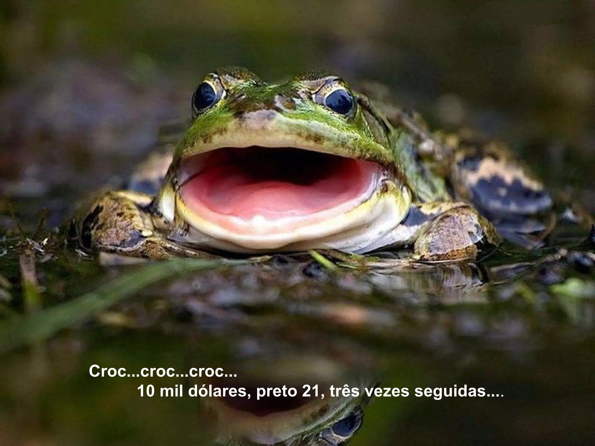 Croc...croc...croc...  10 mil dólares, preto 21, três vezes seguidas... . 