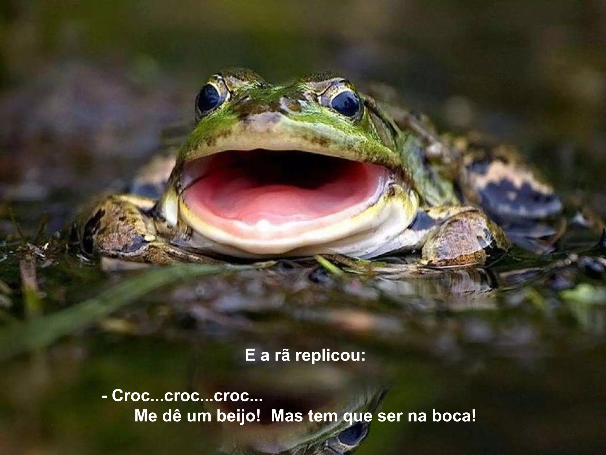 E a rã replicou:  - Croc...croc...croc...  Me dê um beijo!  Mas tem que ser na boca! 