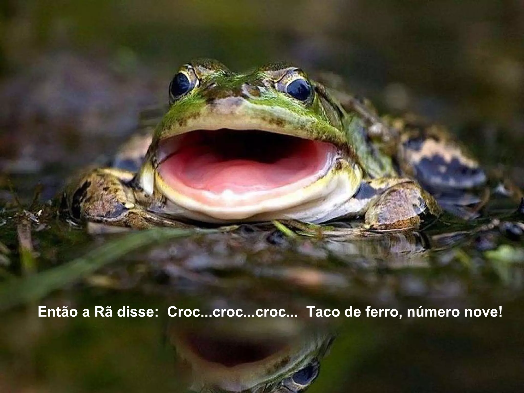   Então a Rã disse:  Croc...croc...croc...  Taco de ferro, número nove! 
