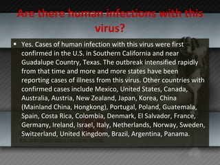 Are there human infections with this virus? Yes. Cases of human infection with this virus were first confirmed in the U.S. in Southern California and near Guadalupe Country, Texas. The outbreak intensified rapidly from that time and more and more states have been reporting cases of illness from this virus. Other countries with confirmed cases include Mexico, United States, Canada, Australia, Austria, New Zealand, Japan, Korea, China (Mainland China, Hongkong), Portugal, Poland, Guatemala, Spain, Costa Rica, Colombia, Denmark, El Salvador, France, Germany, Ireland, Israel, Italy, Netherlands, Norway, Sweden, Switzerland, United Kingdom, Brazil, Argentina, Panama. 