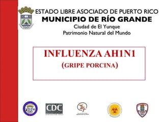 ESTADO LIBRE ASOCIADO DE PUERTO RICO MUNICIPIO DE RÍO GRANDE Ciudad de El Yunque Patrimonio Natural del Mundo INFLUENZA AH1N1 ( GRIPE PORCINA ) 