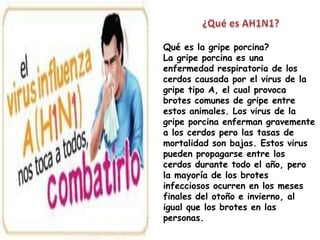Qué es la gripe porcina?
La gripe porcina es una
enfermedad respiratoria de los
cerdos causada por el virus de la
gripe tipo A, el cual provoca
brotes comunes de gripe entre
estos animales. Los virus de la
gripe porcina enferman gravemente
a los cerdos pero las tasas de
mortalidad son bajas. Estos virus
pueden propagarse entre los
cerdos durante todo el año, pero
la mayoría de los brotes
infecciosos ocurren en los meses
finales del otoño e invierno, al
igual que los brotes en las
personas.
 