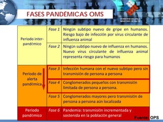 FASES PANDÉMICAS OMS

                 Fase 1 Ningún  subtipo  nuevo  de  gripe  en  humanos. 
                        Riesgo bajo de infección por virus circulante de 
Período inter‐          influenza animal
 pandémico
                 Fase 2 Ningún subtipo nuevo de influenza en humanos. 
                        Nuevo  virus  circulante  de  influenza  animal 
                        representa riesgo para humanos

                 Fase 3 Infección humana con el nuevo subtipo pero sin 
 Período de             transmisión de persona a persona
   alerta 
 pandémica       Fase 4 Conglomerados pequeños con transmisión 
                        limitada de persona a persona.

                 Fase 5 Conglomerados mayores pero transmisión de 
                        persona a persona aún localizada

  Período        Fase 6 Pandemia: transmisión incrementada y 
 pandémico              sostenida en la población general
                                                                Fuente: OPS
 