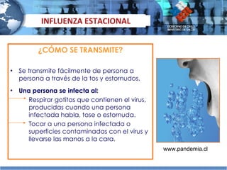 ¿CÓMO SE TRANSMITE? Se transmite fácilmente de persona a persona a través de la tos y estornudos. Una persona se infecta al: Respirar gotitas que contienen el virus, producidas cuando una persona infectada habla, tose o estornuda. Tocar a una persona infectada o superficies contaminadas con el virus y llevarse las manos a la cara. INFLUENZA ESTACIONAL www.pandemia.cl 