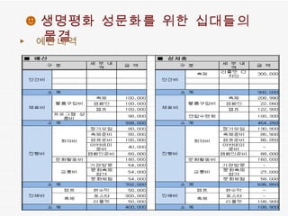 ☻ 생명평화 성문화를 위한 십대들의 물결 ▶  예산내역 