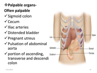 Palpable organs-
Often palpable
Sigmoid colon
Cecum
Iliac arteries
Distended bladder
Pregnant utreus
Pulsation of abdominal
aorta
portion of ascending,
transverse and descending
colon
2/21/2023 10
 