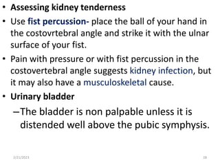 • Assessing kidney tenderness
• Use fist percussion- place the ball of your hand in
the costovrtebral angle and strike it with the ulnar
surface of your fist.
• Pain with pressure or with fist percussion in the
costovertebral angle suggests kidney infection, but
it may also have a musculoskeletal cause.
• Urinary bladder
–The bladder is non palpable unless it is
distended well above the pubic symphysis.
2/21/2023 28
 