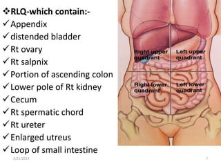 RLQ-which contain:-
Appendix
distended bladder
Rt ovary
Rt salpnix
Portion of ascending colon
Lower pole of Rt kidney
Cecum
Rt spermatic chord
Rt ureter
Enlarged utreus
Loop of small intestine
2/21/2023 7
 