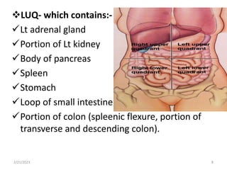 LUQ- which contains:-
Lt adrenal gland
Portion of Lt kidney
Body of pancreas
Spleen
Stomach
Loop of small intestine
Portion of colon (spleenic flexure, portion of
transverse and descending colon).
2/21/2023 8
 