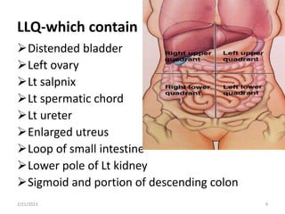 LLQ-which contain
Distended bladder
Left ovary
Lt salpnix
Lt spermatic chord
Lt ureter
Enlarged utreus
Loop of small intestine
Lower pole of Lt kidney
Sigmoid and portion of descending colon
2/21/2023 9
 