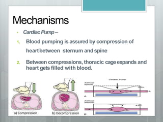 AHA BLS | PPTX