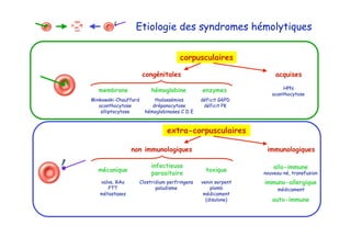 HPN
acanthocytose
membrane
Minkowski-Chauffard
acanthocytose
elliptocytose
hémoglobine
thalassémies
drépanocytose
hémoglobinoses C D E
enzymes
déficit G6PD
déficit PK
corpusculaires
acquisescongénitales
mécanique
infectieuse
parasitaire
toxique
valve, RAo
PTT
métastases
Clostridium perfringens
paludisme
venin serpent
plomb
médicament
(disulone)
allo-immune
immuno-allergique
auto-immune
nouveau-né, transfusion
médicament
extra-corpusculaires
non immunologiques immunologiques
Etiologie des syndromes hémolytiques
 