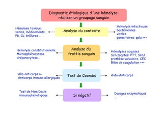 Diagnostic étiologique d ’une hémolyse:
réaliser un groupage sanguin
Hémolyse infectieuse
bactériennes
virales
parasitaires: palu +++
Hémolyse toxique:
venins, médicaments,
Pb, Cu, brûlures ...
Analyse du contexte
Hémolyse constitutionnelle
Microsphérocytose
drépanocytose...
Hémolyses acquises
Schizocytes: PTT, SHU
prothèse valvulaire, CEC
Bilan de coagulation +++
Analyse du
frottis sanguin
Allo-anticorps ou
Anticorps immuno allergiques
Auto-AnticorpsTest de Coombs
Dosages enzymatiques
...
Test de Ham Dacie
immunophénotypage
...
Si négatif
 