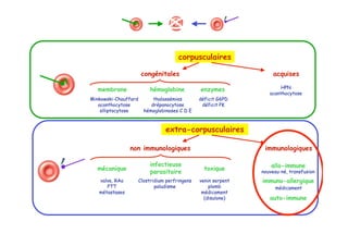 HPN
acanthocytose
membrane
Minkowski-Chauffard
acanthocytose
elliptocytose
hémoglobine
thalassémies
drépanocytose
hémoglobinoses C D E
enzymes
déficit G6PD
déficit PK
corpusculaires
acquisescongénitales
mécanique
infectieuse
parasitaire
toxique
valve, RAo
PTT
métastases
Clostridium perfringens
paludisme
venin serpent
plomb
médicament
(disulone)
allo-immune
immuno-allergique
auto-immune
nouveau-né, transfusion
médicament
extra-corpusculaires
non immunologiques immunologiques
 