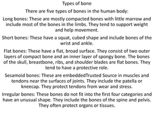 Types of bone
There are five types of bones in the human body:
Long bones: These are mostly compacted bones with little marrow and
include most of the bones in the limbs. They tend to support weight
and help movement.
Short bones: These have a squat, cubed shape and include bones of the
wrist and ankle.
Flat bones: These have a flat, broad surface. They consist of two outer
layers of compact bone and an inner layer of spongy bone. The bones
of the skull, breastbone, ribs, and shoulder blades are flat bones. They
tend to have a protective role.
Sesamoid bones: These are embeddedTrusted Source in muscles and
tendons near the surfaces of joints. They include the patella or
kneecap. They protect tendons from wear and stress.
Irregular bones: These bones do not fit into the first four categories and
have an unusual shape. They include the bones of the spine and pelvis.
They often protect organs or tissues.
 