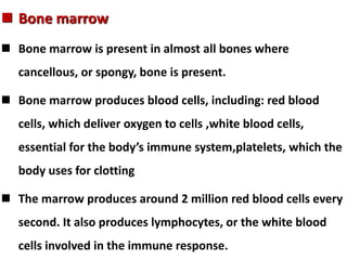  Bone marrow
 Bone marrow is present in almost all bones where
cancellous, or spongy, bone is present.
 Bone marrow produces blood cells, including: red blood
cells, which deliver oxygen to cells ,white blood cells,
essential for the body’s immune system,platelets, which the
body uses for clotting
 The marrow produces around 2 million red blood cells every
second. It also produces lymphocytes, or the white blood
cells involved in the immune response.
 