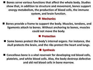  Bones serve various functions that affect the whole body. Studies
show that, in addition to structure and movement, bones support
energy metabolism, the production of blood cells, the immune
system, and brain function.
 Mechanics
 Bones provide a frame to support the body. Muscles, tendons, and
ligaments attach to bones. Without anchoring to bones, muscles
could not move the body.
 Protection
 Some bones protect the body’s internal organs. For instance, the
skull protects the brain, and the ribs protect the heart and lungs.
 Synthesis
 Cancellous bone is a vital reservoir for developing red blood cells,
platelets, and white blood cells. Also, the body destroys defective
and old red blood cells in bone marrow.
 