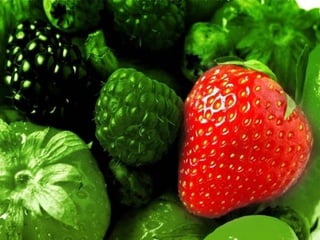 A harmonia da_cor_verde