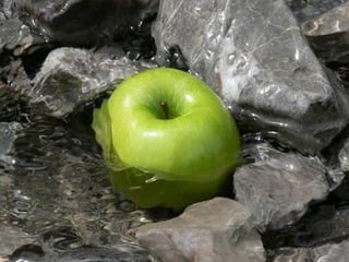 A harmonia da_cor_verde