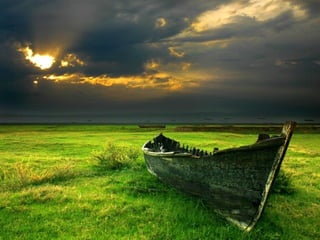 A harmonia da_cor_verde