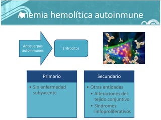 Anemia hemolítica autoinmune
Anticuerpos
autoinmunes
Eritrocitos
Primario
• Sin enfermedad
subyacente
Secundario
• Otras entidades
• Alteraciones del
tejido conjuntivo
• Síndromes
linfoproliferativos
 