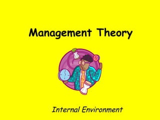 Management Theory Internal Environment 