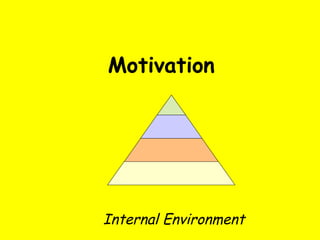 Motivation Internal Environment 