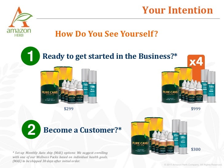 Amazon Herb Business Overview Camu Camu