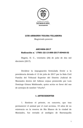 1
LUIS ARMANDO TOLOSA VILLABONA
Magistrado ponente
AHC4806-2017
Radicación n.° 17001-22-13-000-2017-00468-02
Bogotá, D. C., veintiséis (26) de julio de dos mil
diecisiete (2017).
Decídese la impugnación formulada frente a la
providencia dictada el 13 de julio de 2017 por la Sala Civil
Familia del Tribunal Superior del Distrito Judicial de
Manizales dentro del hábeas corpus promovido por Luis
Domingo Gómez Maldonado, quien actúa en favor del oso
de anteojos de nombre “chucho”.
1. ANTECEDENTES
1. Sostiene el petente, en concreto, que tras
permanecer el animal por el cual acciona, 18 años de su
existencia en la reserva de Río Blanco de la ciudad de
Manizales, fue enviado al zoológico de Barranquilla
 