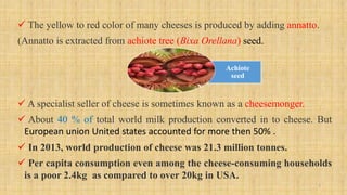  The yellow to red color of many cheeses is produced by adding annatto.
(Annatto is extracted from achiote tree (Bixa Ore...