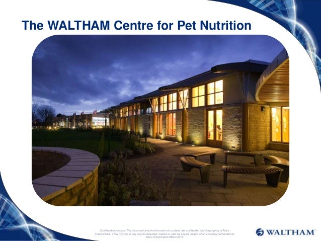 waltham pet centre