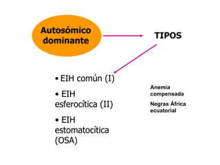 Anemia compensada Negras África ecuatorial Autosómico dominante TIPOS EIH común (I) EIH esferocítica (II) EIH estomatocítica (OSA) 