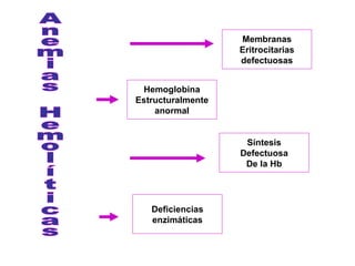 Anemias Hemolíticas Membranas Eritrocitarias defectuosas Hemoglobina Estructuralmente anormal Síntesis Defectuosa De la Hb Deficiencias enzimáticas 