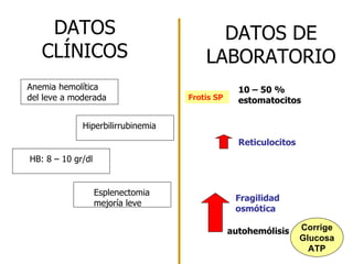 DATOS DE LABORATORIO DATOS CLÍNICOS Frotis SP 10 – 50 % estomatocitos Fragilidad osmótica autohemólisis Corrige Glucosa ATP Reticulocitos Anemia hemolítica del leve a moderada Hiperbilirrubinemia HB: 8 – 10 gr/dl Esplenectomia mejoría leve 