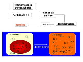 Trastorno de la permeabilidad Perdida de K+ Ganancia de Na+ deshidratación bazo hemólisis 