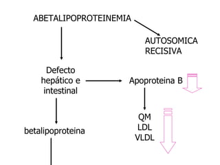 ABETALIPOPROTEINEMIA AUTOSOMICA RECISIVA Defecto hepático e intestinal betalipoproteina Apoproteina B QM LDL VLDL 