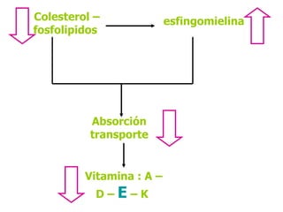 Vitamina : A – D –  E  – K  Colesterol – fosfolipidos  esfingomielina Absorción transporte 
