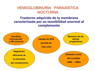 Trastorno adquirido de la membrana caracterizado por su sensibilidad anormal al complemento Hemólisis intravascular  y HB nocturna Células de HPN  periodo de  vida corto Mutación de las  células  progenitoras Regulación  deficiente de  la activación  del complemento Adhesión inicial  del complejo c3Bb  - c4B2a HEMOGLOBINURIA  PARAXISTICA NOCTURNA 