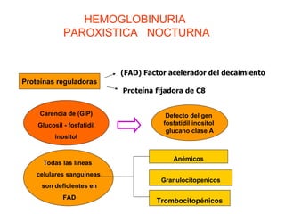 Proteínas reguladoras (FAD) Factor acelerador del decaimiento Proteína fijadora de C8 Carencia de (GIP) Glucosil - fosfatidil  inositol Defecto del gen  fosfatidil inositol  glucano clase A Todas las líneas  celulares sanguíneas son deficientes en FAD Anémicos Granulocitopenicos Trombocitopénicos HEMOGLOBINURIA  PAROXISTICA  NOCTURNA  