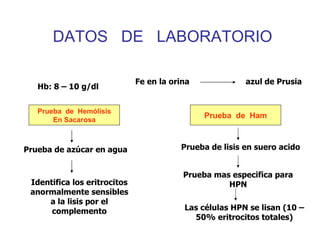Hb: 8 – 10 g/dl Fe en la orina  azul de Prusia Prueba  de  Hemólisis En Sacarosa Prueba  de  Ham Prueba de azúcar en agua Identifica los eritrocitos anormalmente sensibles a la lisis por el complemento Prueba de lisis en suero acido Prueba mas especifica para HPN Las células HPN se lisan (10 – 50% eritrocitos totales) DATOS  DE  LABORATORIO 