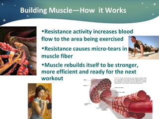 Building Muscle—How  it Works ,[object Object],[object Object],[object Object],[object Object]