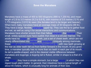 Save the Manatees



Manatees have a mass of 400 to 550 kilograms (880 to 1,200 lb), and mean
length of 2.8 to 3.0 metres (9.2 to 9.8 ft), with maxima of 3.6 metres (12 ft) and
1,775 kilograms (3,910 lb) seen (the females tend to be larger and heavier).
When born, baby manatees have an average mass of 30 kilograms (66 lb).
They have a large, flexible, prehensile upper lip. They use the lip to gather food
and eat, as well as using it for social interactions and communications.
Manatees have shorter snouts than their fellow sirenians, the dugongs. Their
small, widely-spaced eyes have eyelids that close in a circular manner. The
adults have no incisor or canine teeth, just a set of cheek teeth, which are not
clearly differentiated into molars and premolars. Uniquely among mammals,
these teeth are continuously replaced throughout life, with new teeth growing at
the rear as older teeth fall out from farther forward in the mouth. At any given
time, a manatee typically has no more than six teeth in each jaw of its mouth.[4]
Its tail is paddle-shaped, and is the clearest visible difference between
manatees and dugongs; a dugong tail is fluked, similar in shape to a that of a
whale.
Like horses, they have a simple stomach, but a large cecum, in which they can
digest tough plant matter. In general, their intestines have a typical length of
about 45 meters, which is unusually long for animals of their size.
 