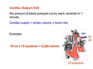 A heart physiology | PPT
