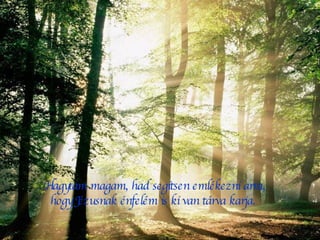 Hagytam magam, had segítsen emlékezni arra, hogy Jézusnak énfelém is ki van tárva karja.  