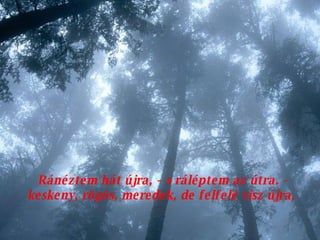 Ránéztem hát újra, - s ráléptem az útra. - keskeny, rögös, meredek, de felfelé visz újra,  