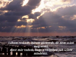 Lábam roskadt, hátam görnyedt, de nem szánt meg senki, most már tudom, hogy a völgyben rab szinte mindenki.  